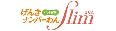 げんきナンバーわんスリム
